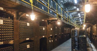 Дегустация в Массандре + Массандровский дворец - фото 13