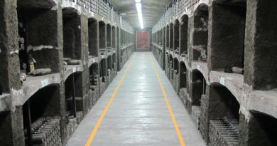 Дегустация в Массандре + Массандровский дворец - фото 17