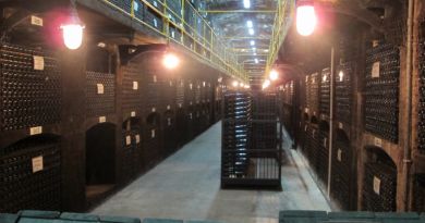 Дегустация в Массандре + Массандровский дворец - фото 16