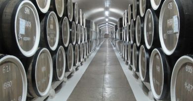Дегустация в Массандре + Массандровский дворец - фото 19